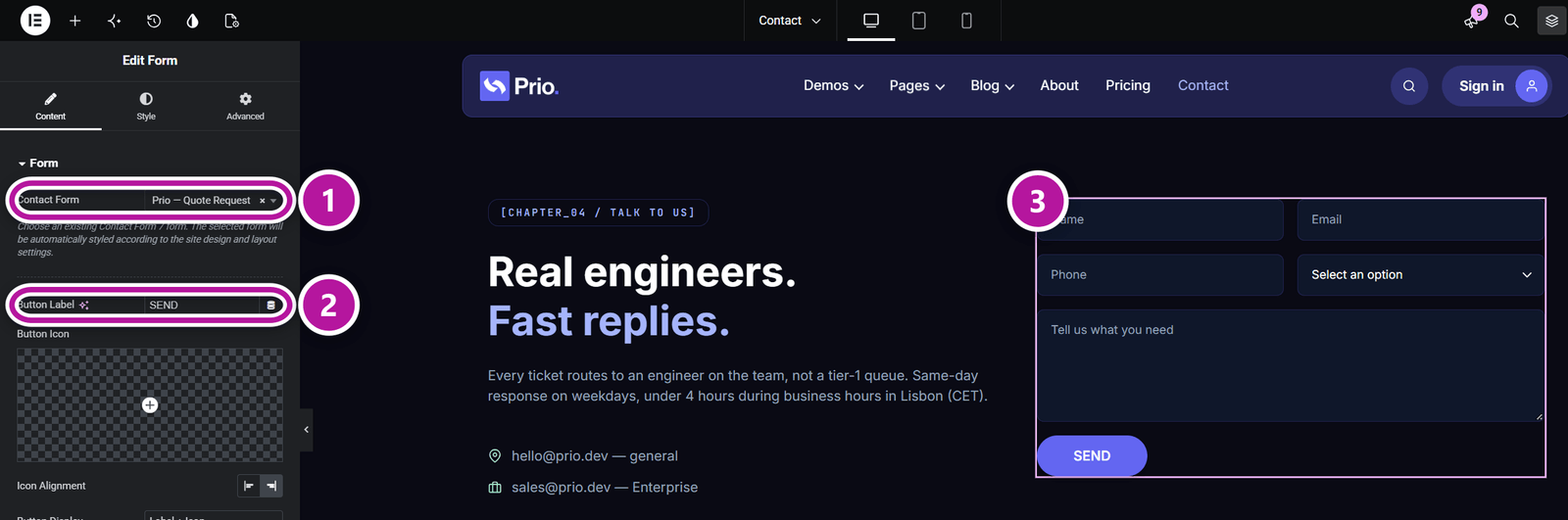 The Form widget's Content tab and the styled form on the canvas