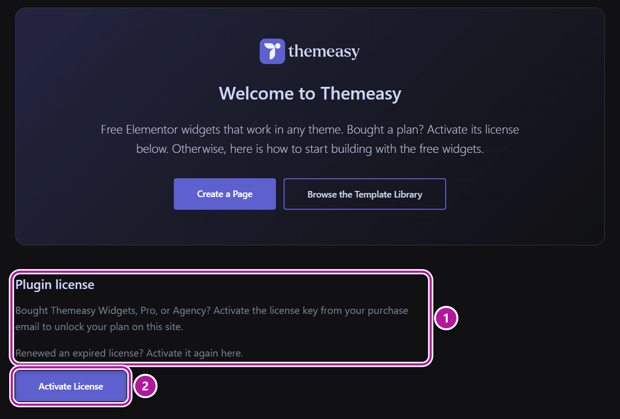 The Plugin license section with its Activate License button