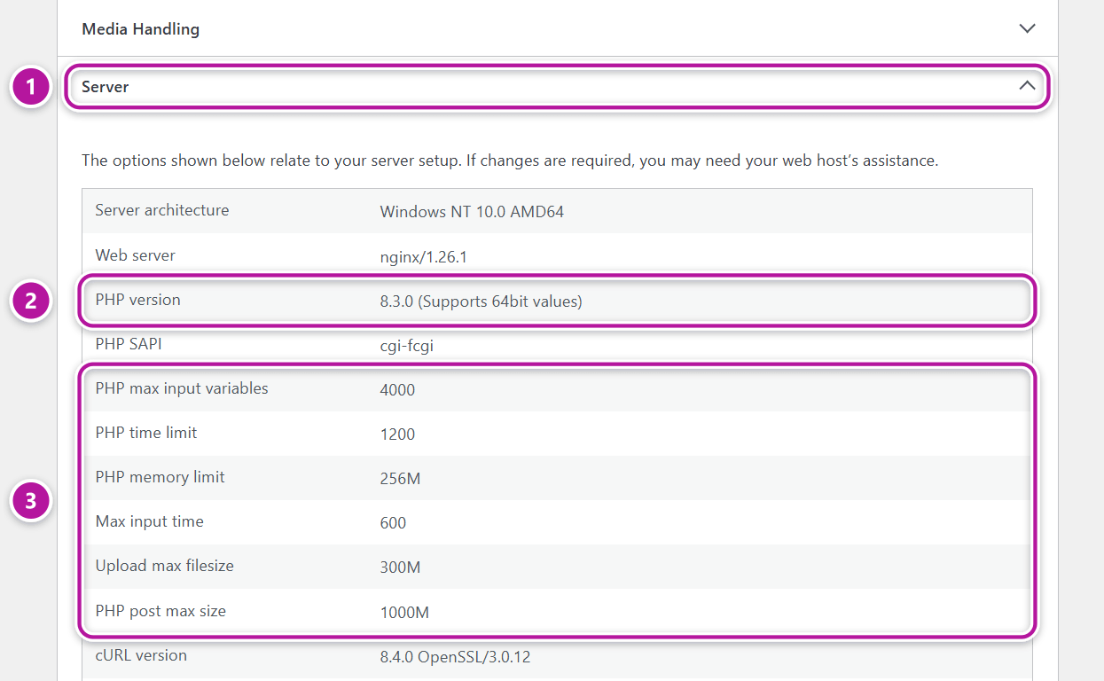 WordPress Site Health Info screen with the Server section open