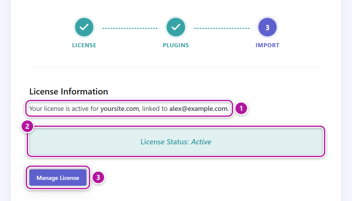 The active license panel of the setup wizard